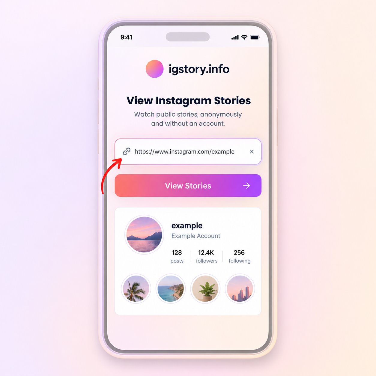 Paste a public profile link into igstory.info